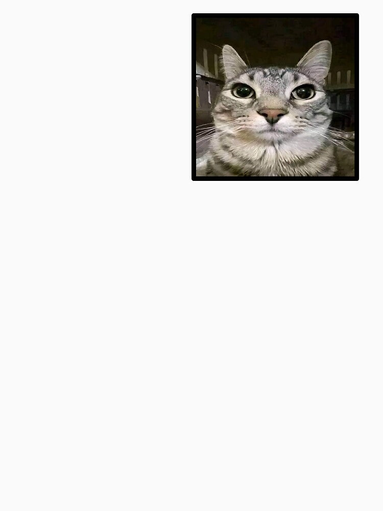 Classic cat by Dude-creating