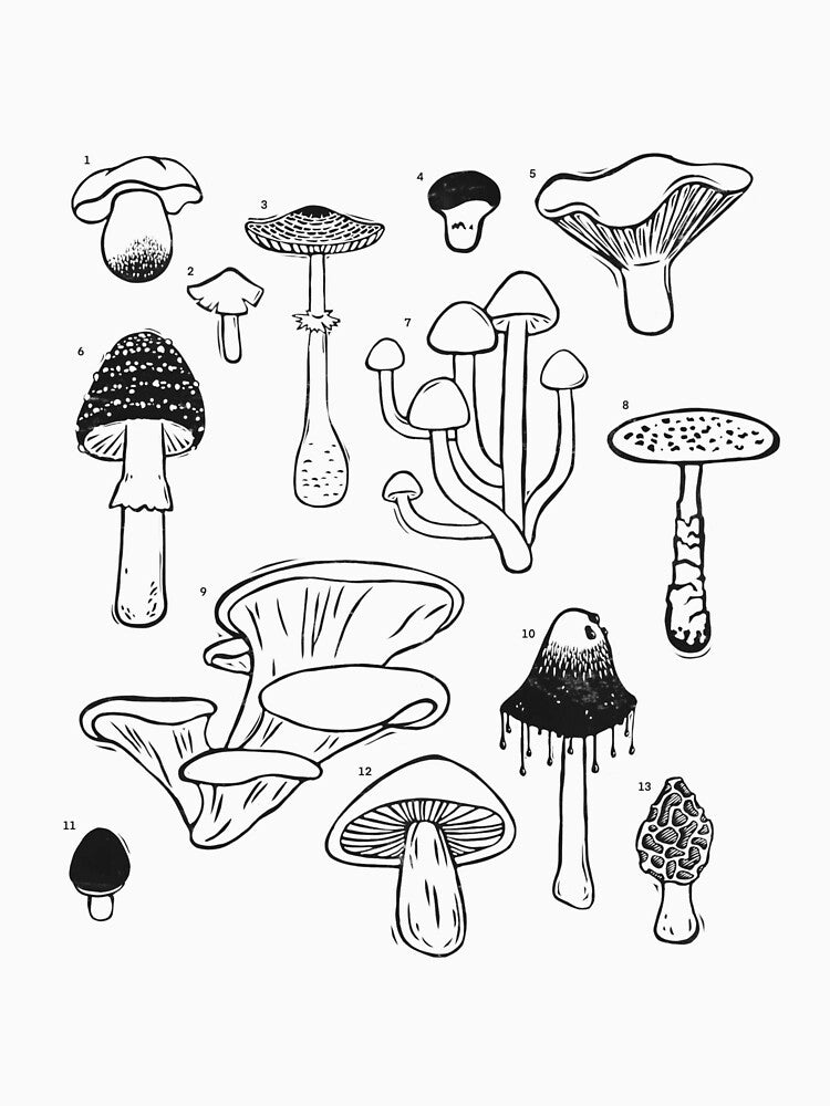 Mycologist Chart by fable-arts