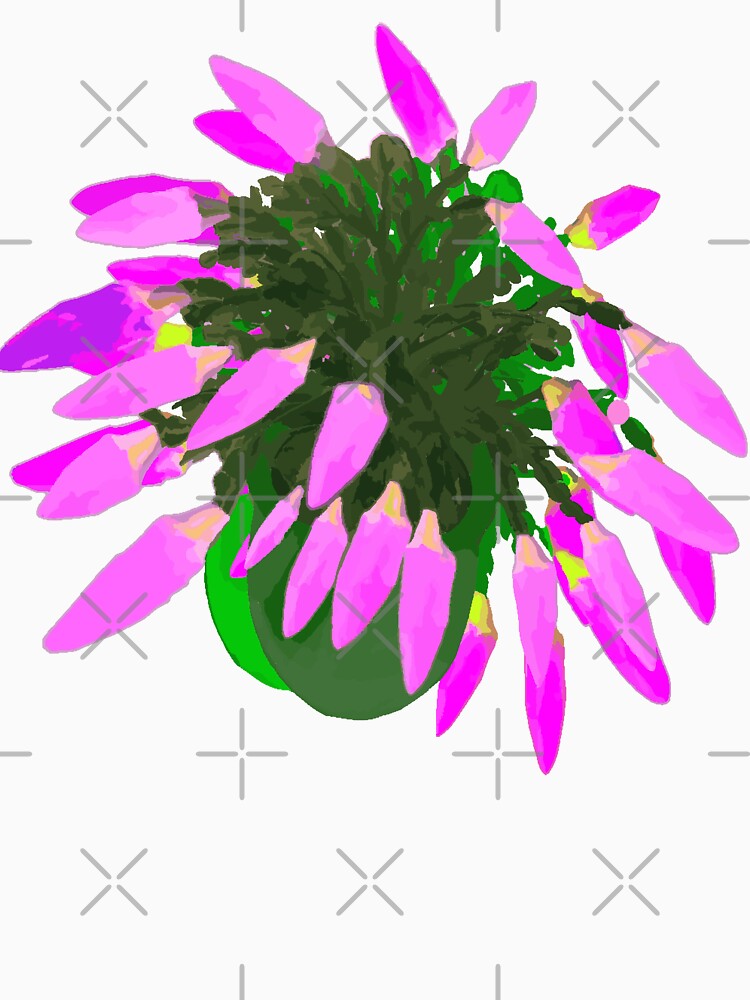 Pink Christmas Cactus by Victoria Rose