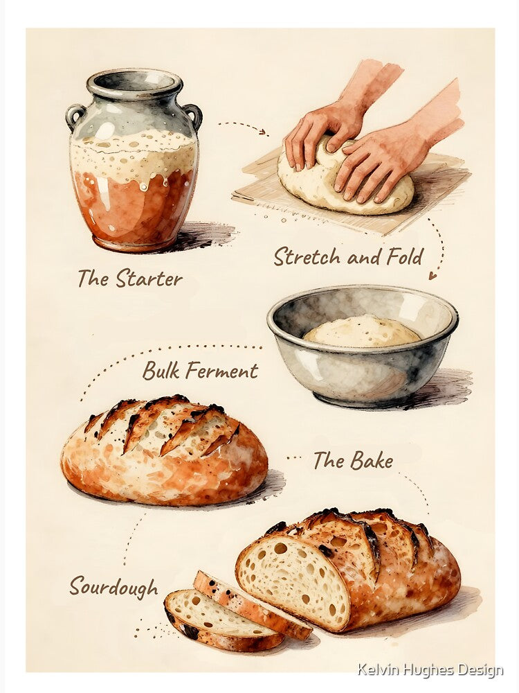 Sourdough Bread Process Poster | Vintage Illustrated Baking Art | Cottagecore Kitchen Wall Art | Sourdough Baker Gift | Artisan Bread Print by Kelvin Hughes Design