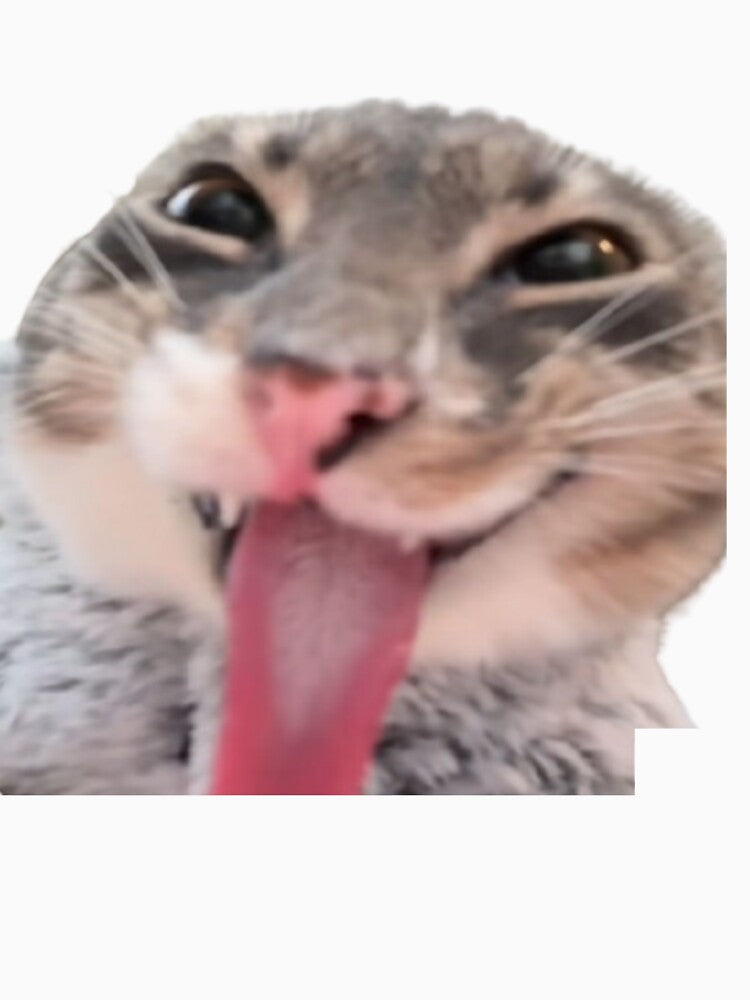 cat with tongue out meme by Shrewd Mood