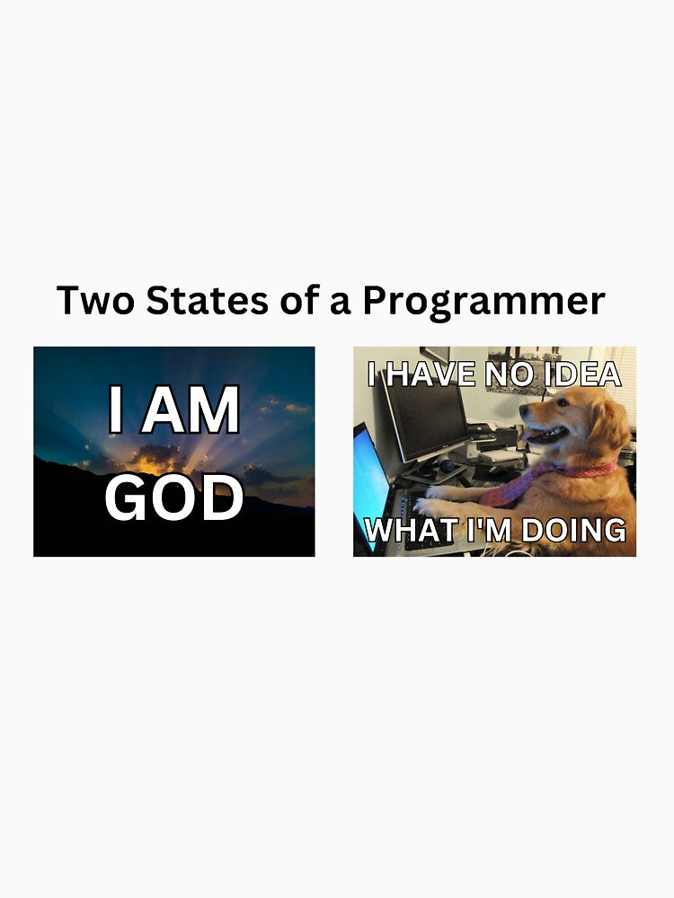Programmer life explained by BleuBlue