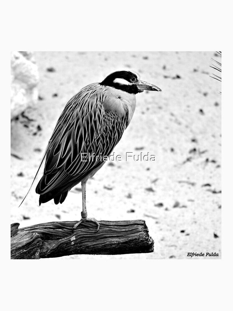 The Observer by Elfriede Fulda
