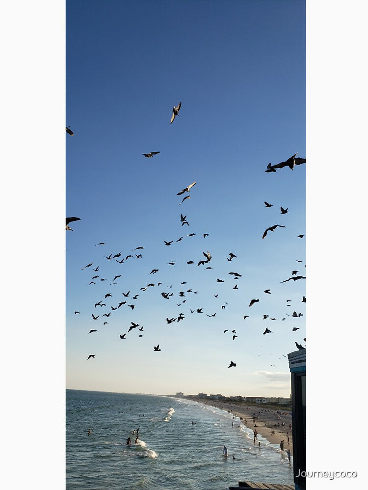 Birds flying above beach aesthetic by Journeycoco