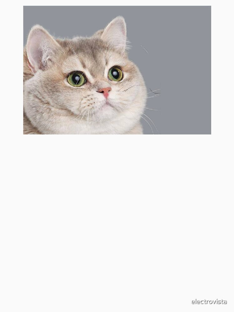Orginal Heavy Breathing Cat Meme Fluffy Funny Pawsomeness by electrovista