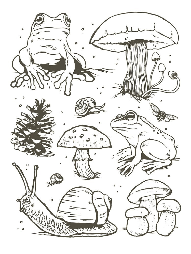 Cottagecore aesthetics for people who love frogs and nature. by Barb  Hamilton ⭐⭐⭐⭐⭐