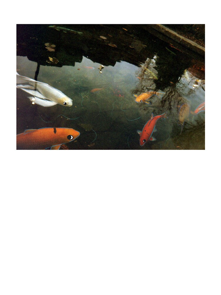 Fish in a Pond by KatieBuggieArt