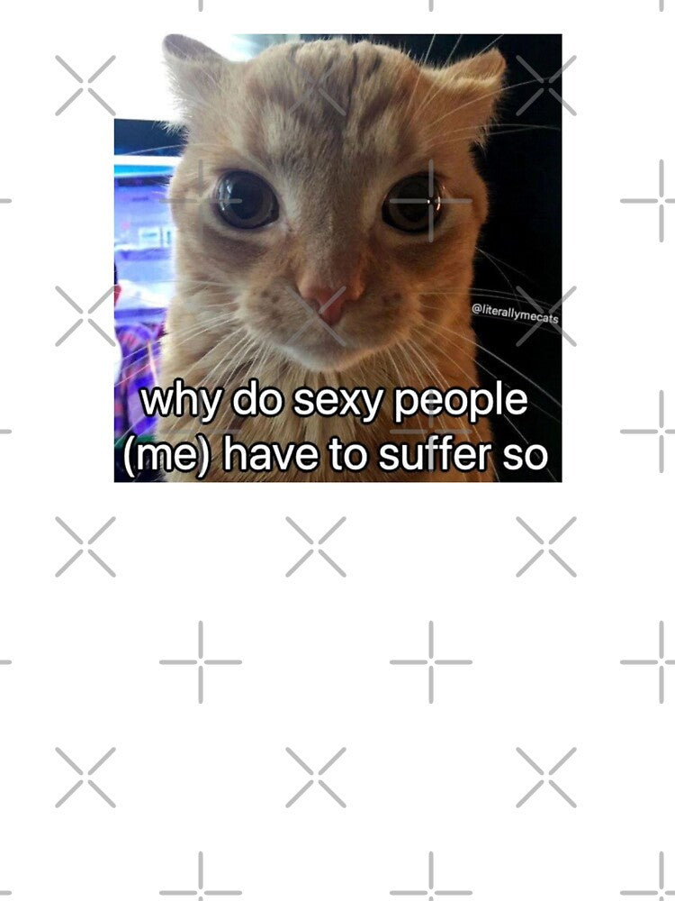 Why do sexy people (me) have to suffer so CAT MEME by Kyiomi