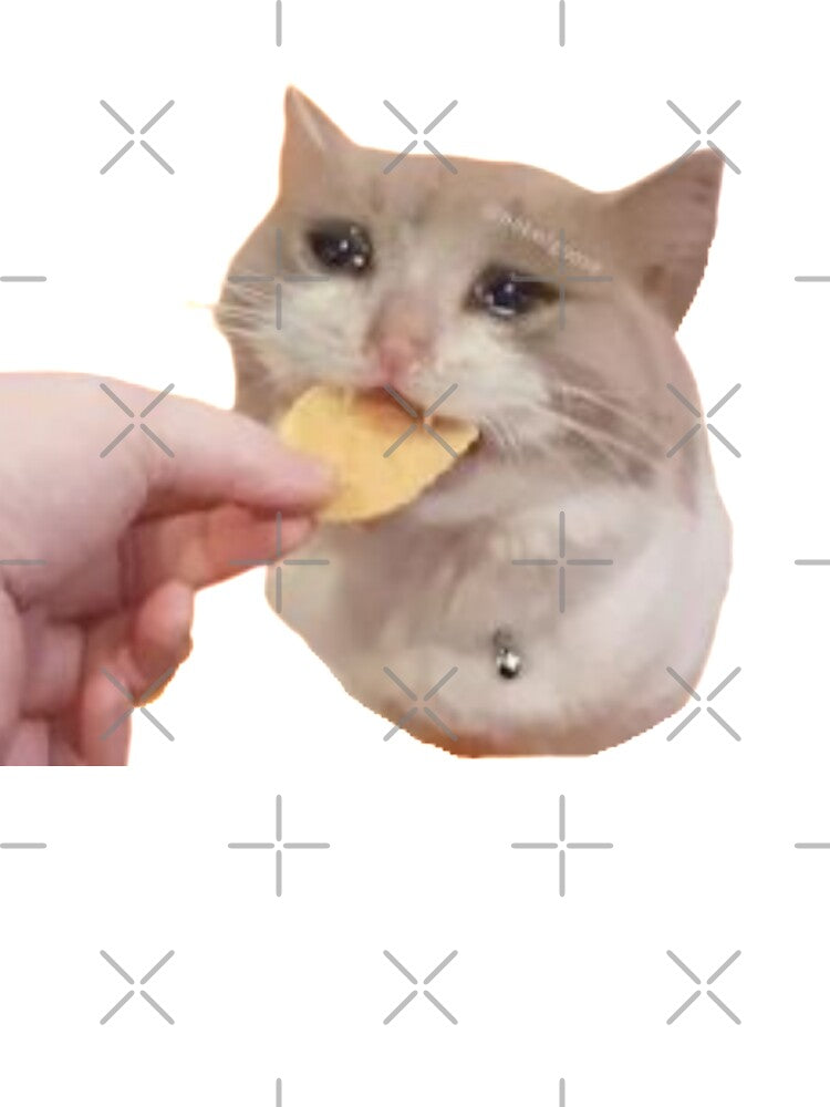 Crying Cat Chip Meme - Crying Cat Meme Crying Cat Chip Meme, Cat Meme, Crying Cat, Crying Cat Eating by CaptianCringe
