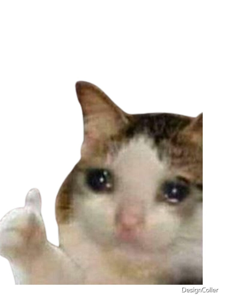 Crying Cat Thumbs Up Meme by DesignColler