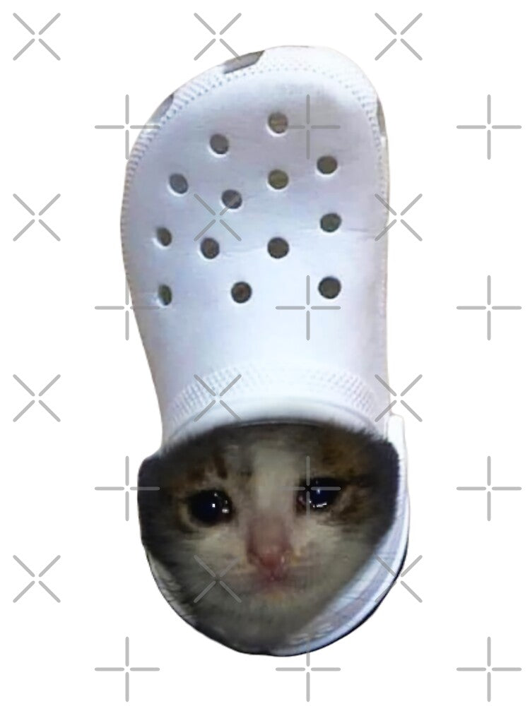 Croc Crying Cat Meme by fomodesigns