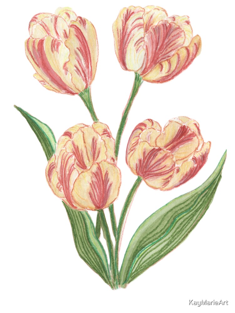 Tulips in the wind by KayMarieArt