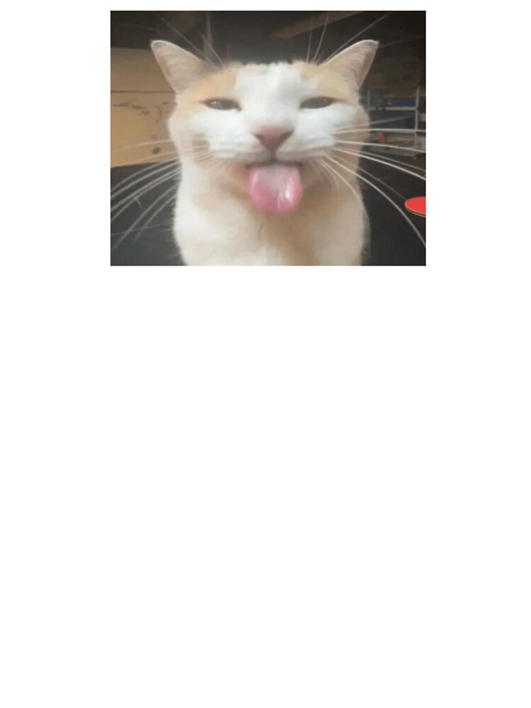 Cat sticking out Tongue Meme by squishymemestore