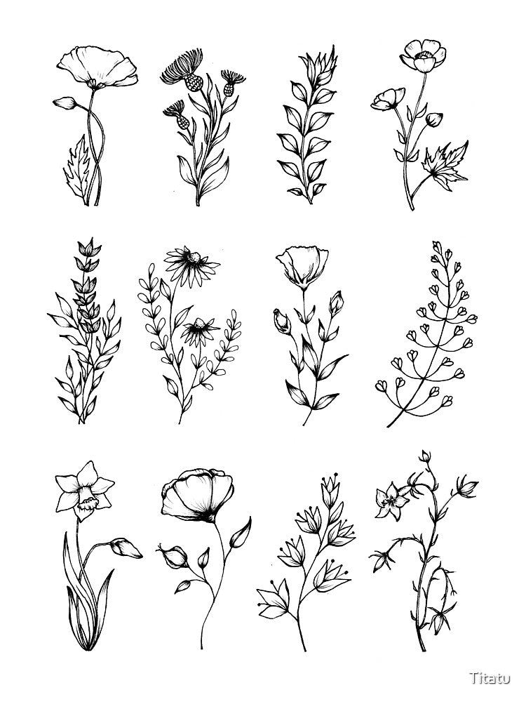 Realistic hand drawn flowers by Titatu