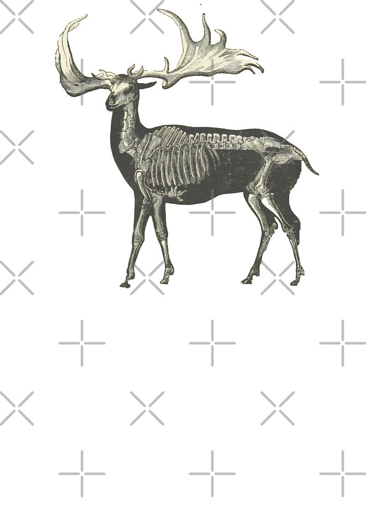 Vintage Elk Skeleton Illustration by bookishneighbor