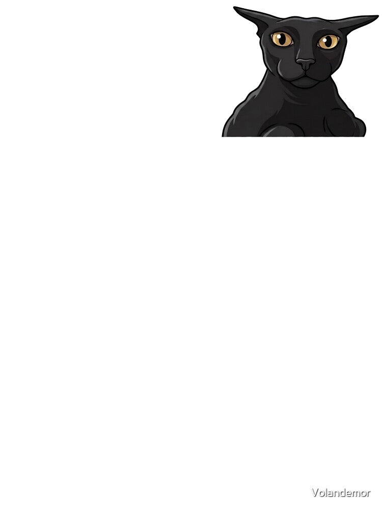 Funny Staring Black Cat Meme Illustration by Volandemor