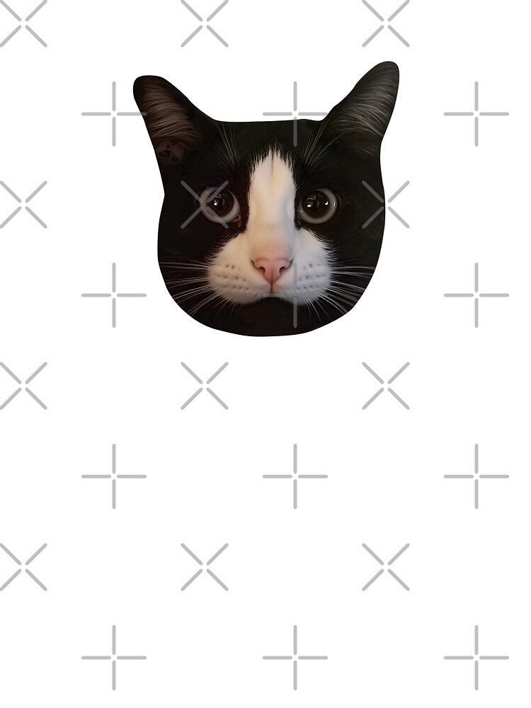 black cat nose meme by TALENOffcials