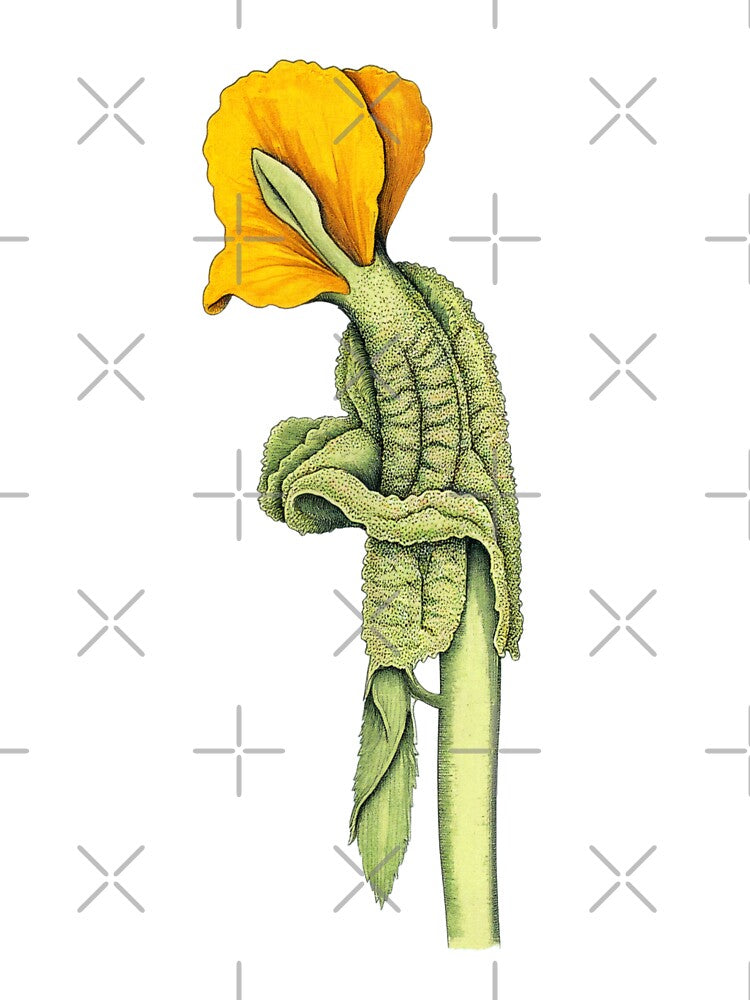 Simpsonus Botanica - Flos Exsanguis Burnsiensis by Pop-And-Pixels