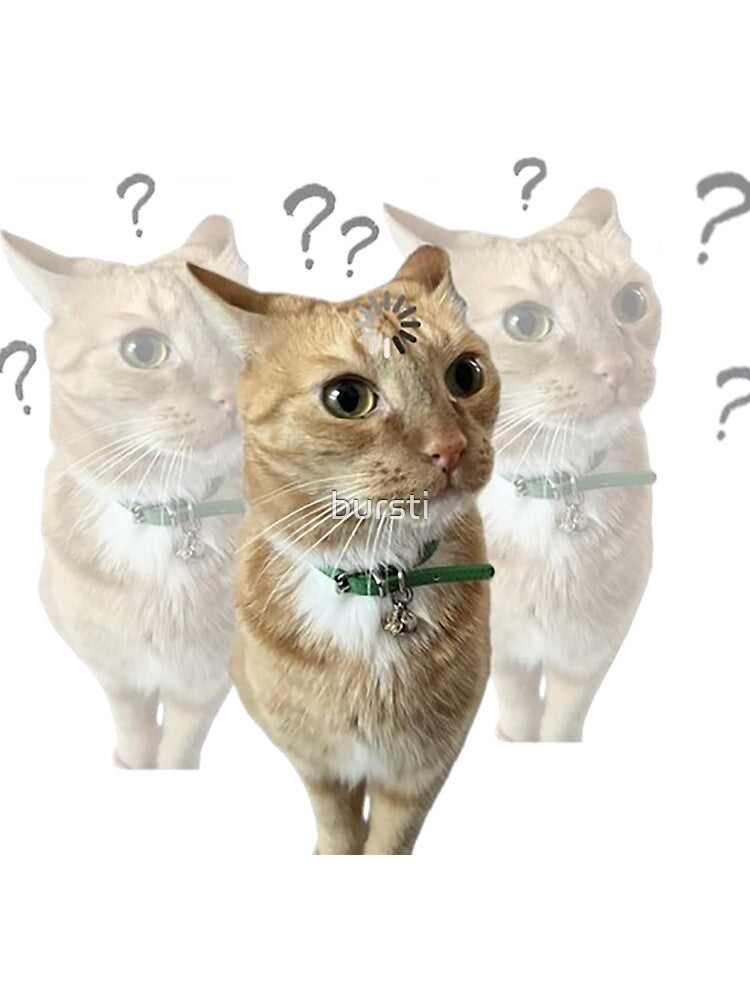 confused cats | Tiktok meme by bursti