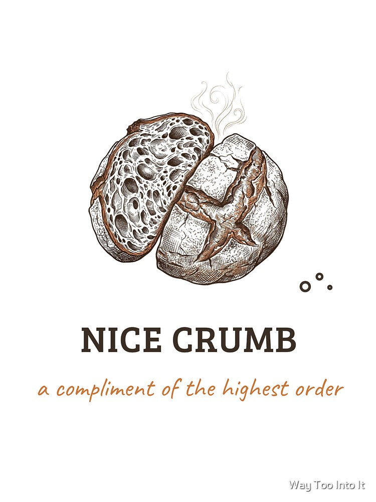 Nice Crumb - Sourdough Bread Baking Compliment by Way Too Into It