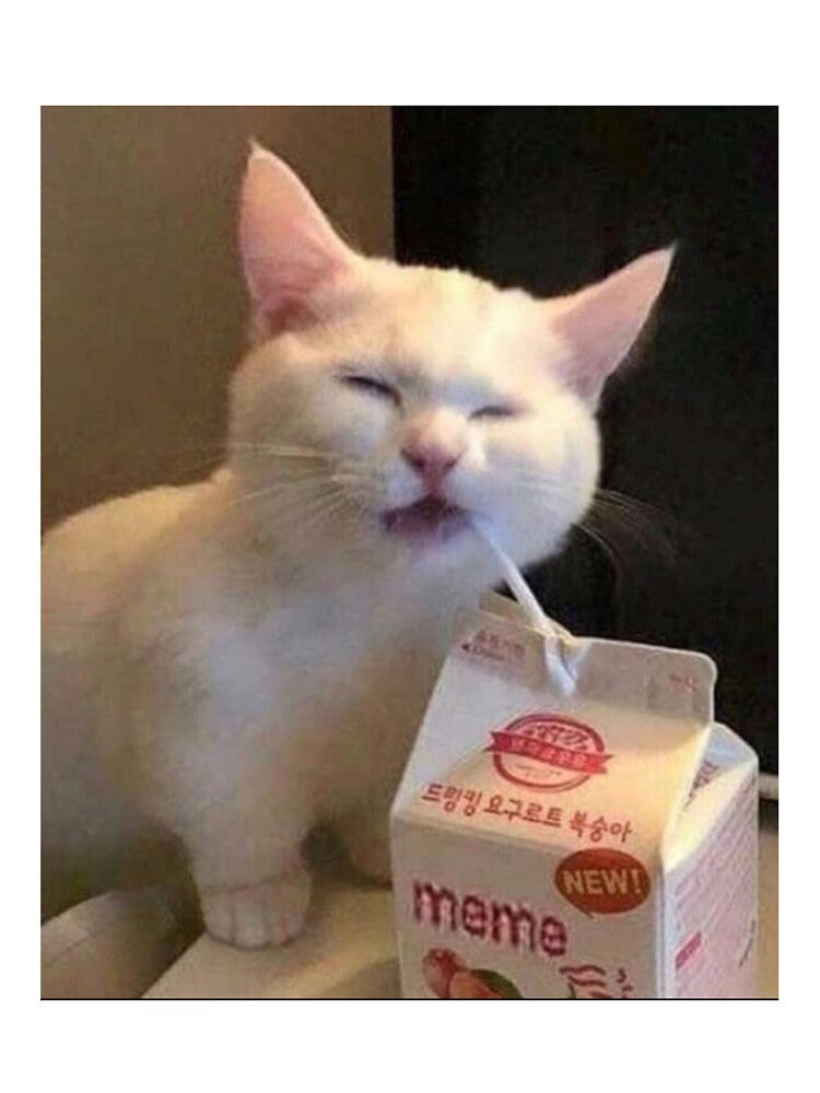 Meme Drink Cat by PapaKnox