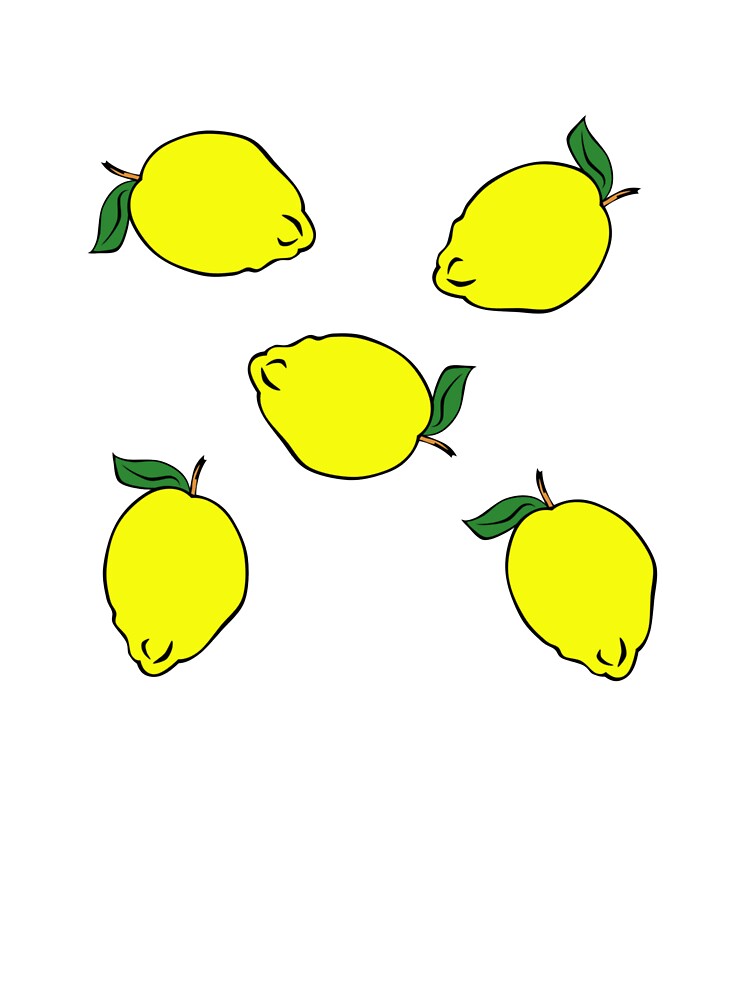 Package of lemons by metin1331