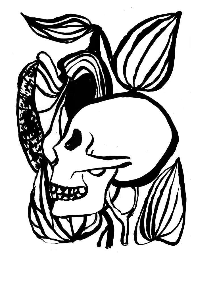 Botanical Skull – Minimal Plant Anatomy Illustration by Lunar Fern