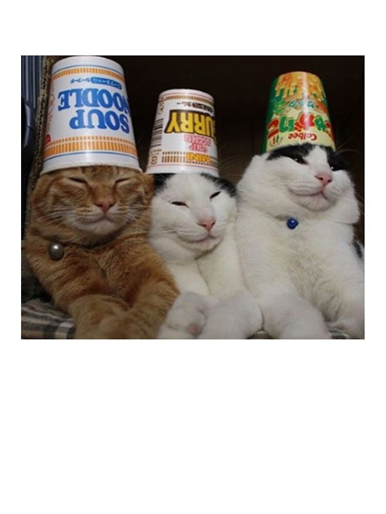 Cup Cats by PapaKnox
