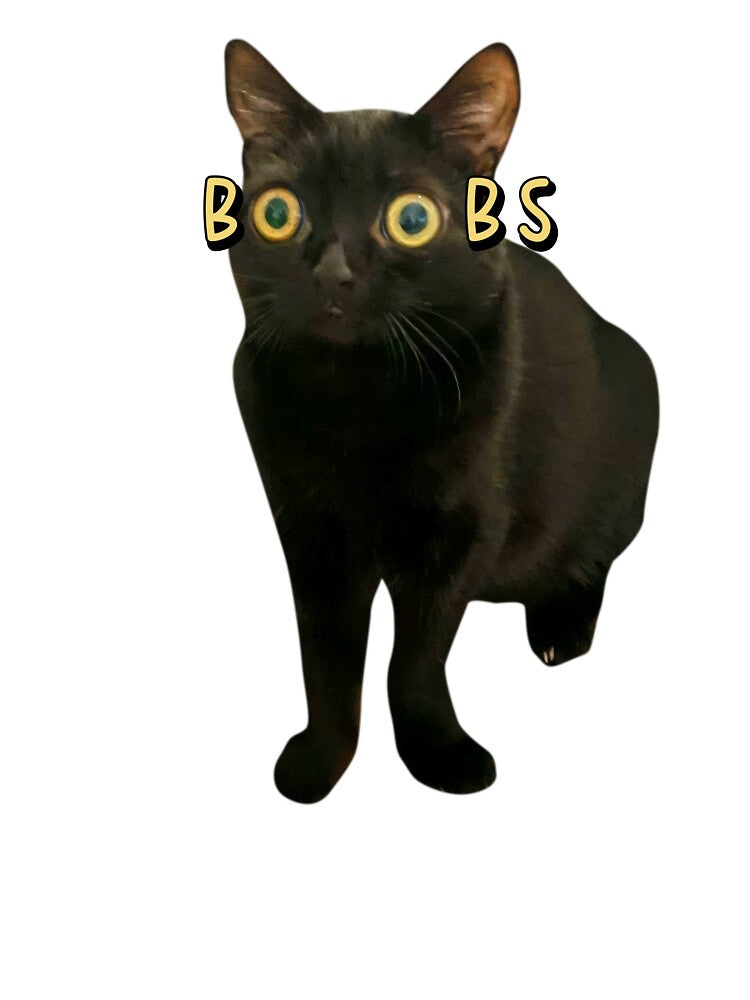 Funny Meme Babies Cat by RebeccaLittlee