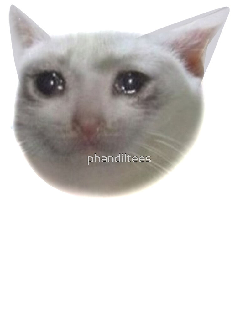 Crying Cat by DoodleDashCollective