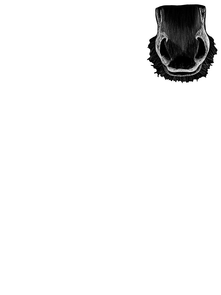 Horse Muzzle by Dr. Leigh Designs