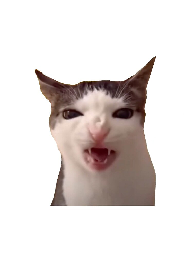 Crunching Cat Meme by RaisedByKittens