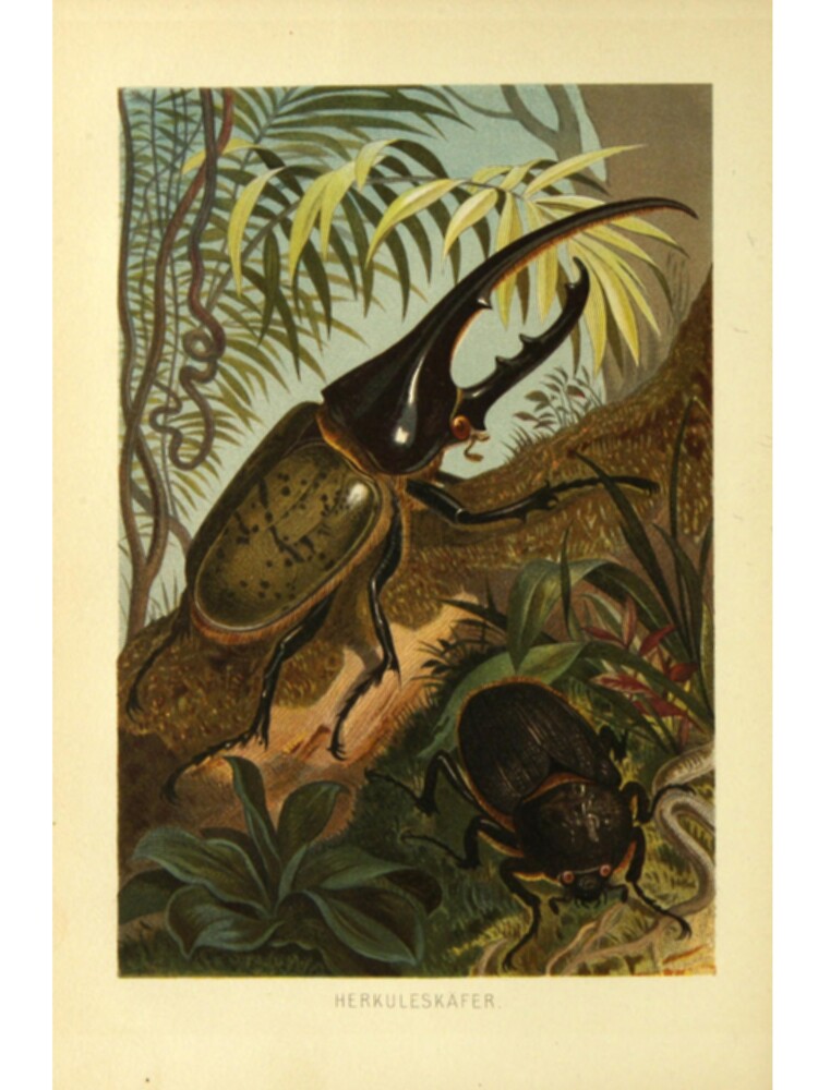 Hercules Beetle by BlueSpecsStudio Unisex
