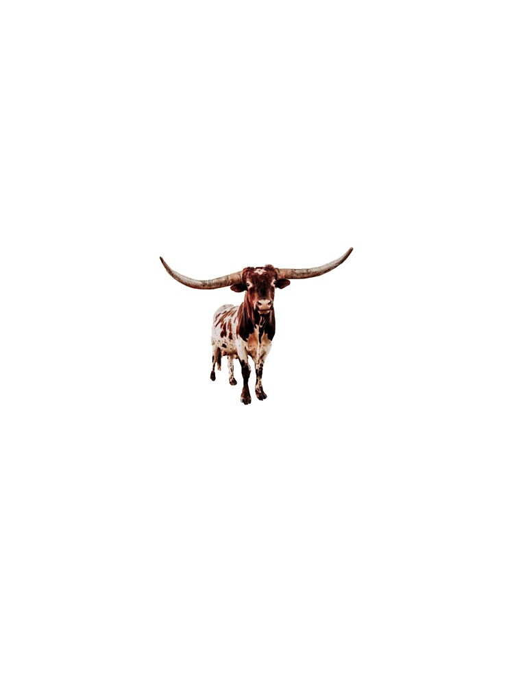 longhorn cow by madilynsanford