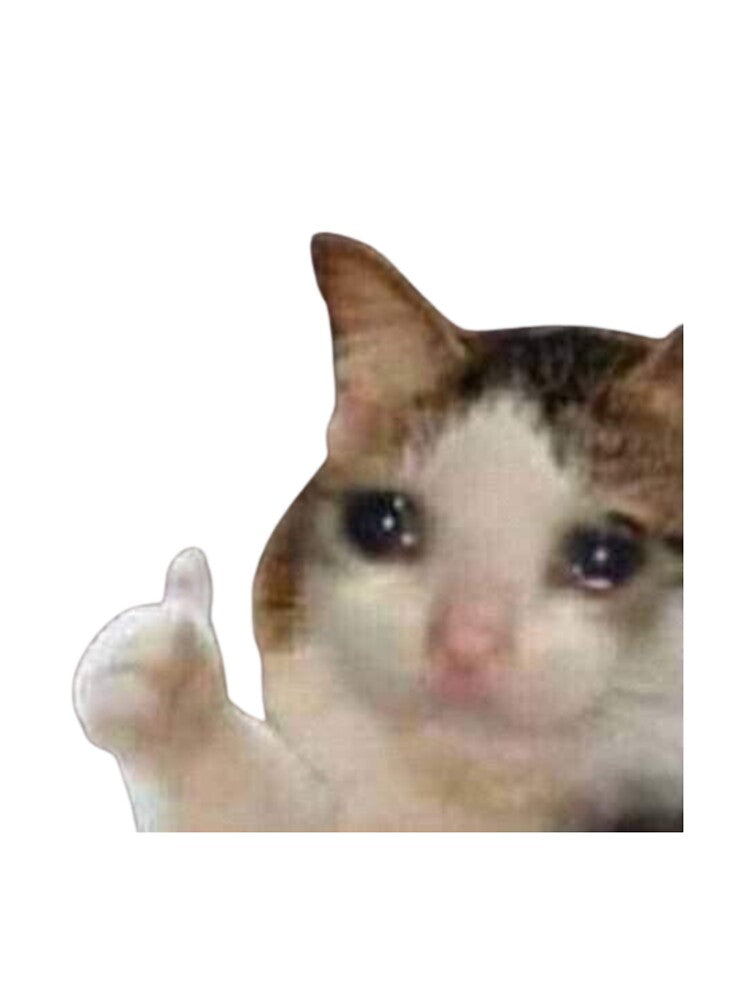 Crying Cat Giving a Thumbs Up Meme – Funny Emotional Cat Art by The Eclectic Cat