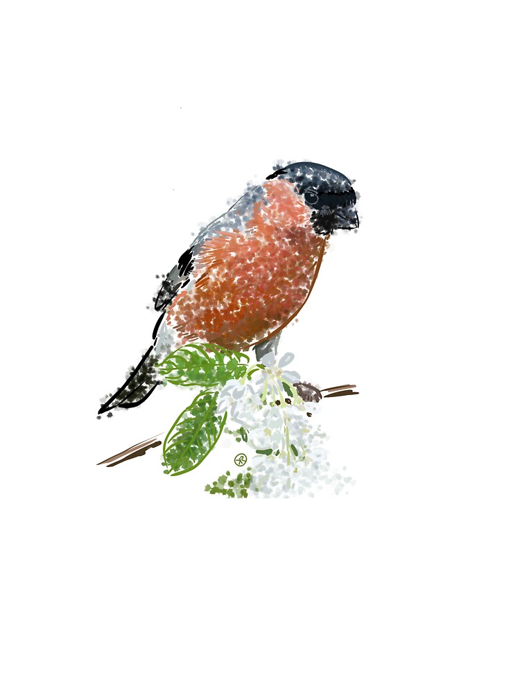 Bullfinch on flowering branch by TruemmerLiebe