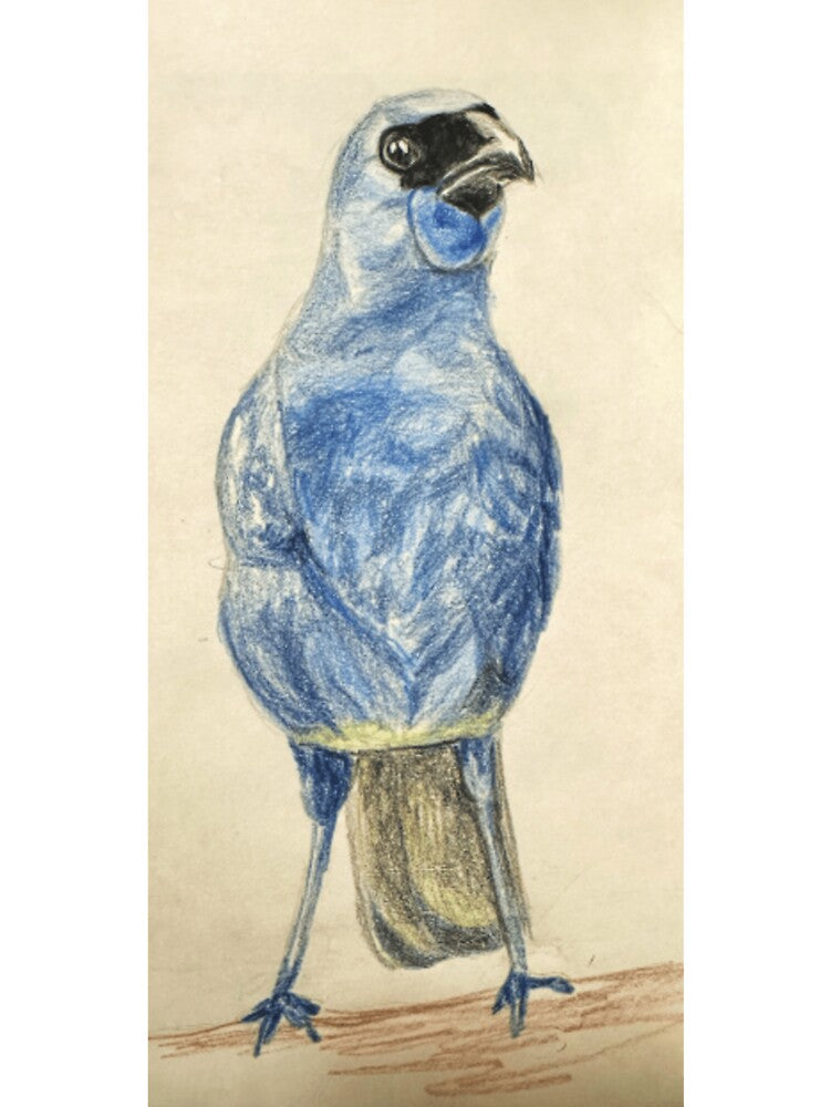 Kōkako by MusesDaughter Unisex