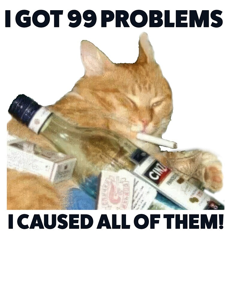Funny Cat Meme I Got 99 Problems by RebeccaLittlee