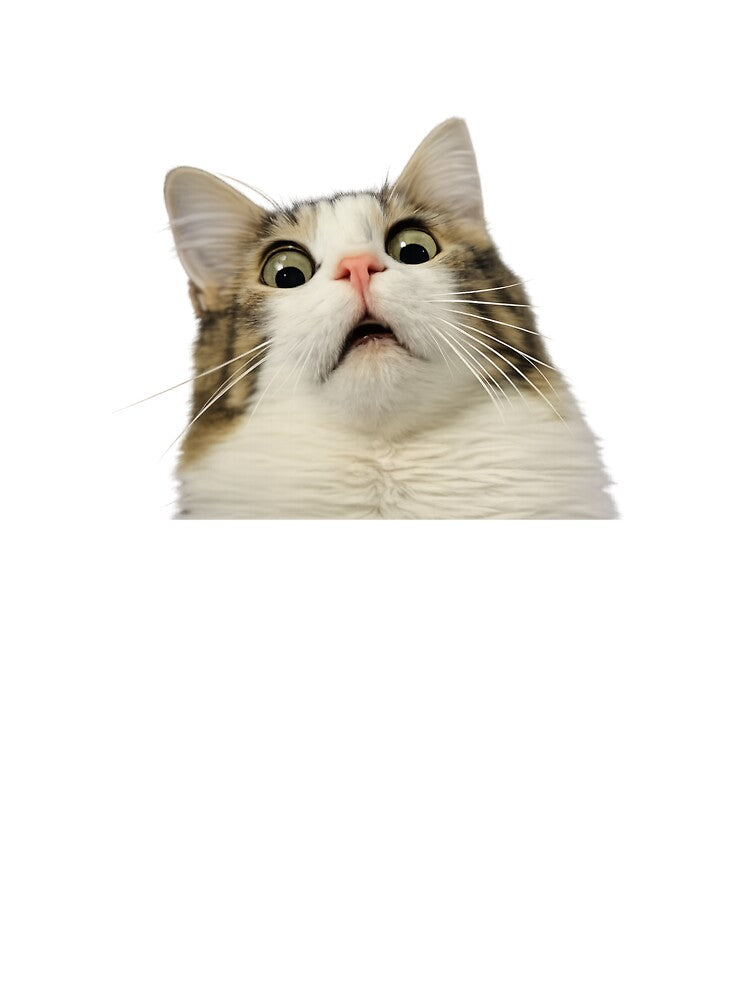 Cat in surprise by t-patterns