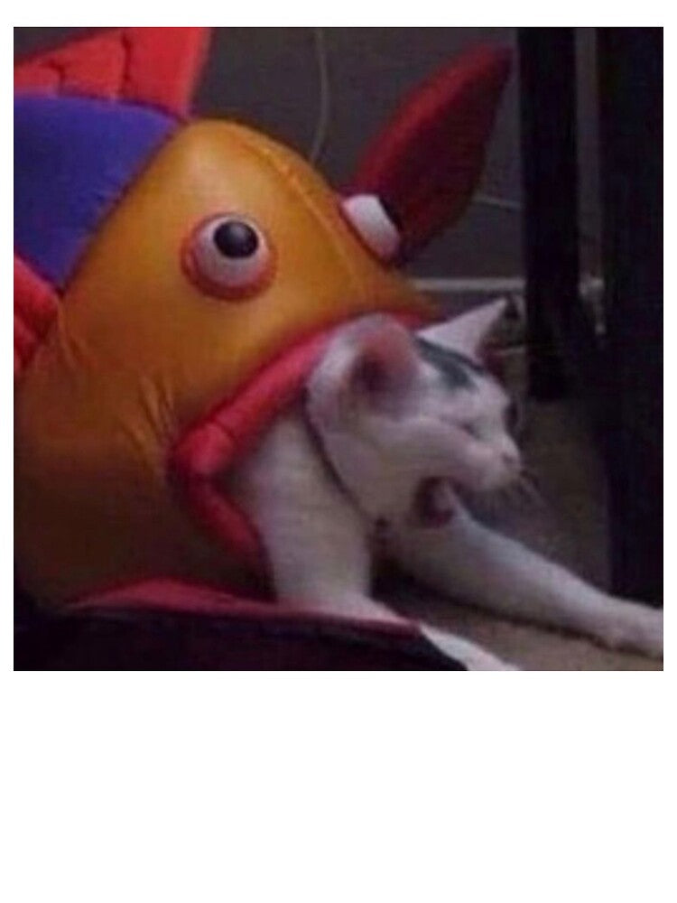 Fish on Cat by PapaKnox