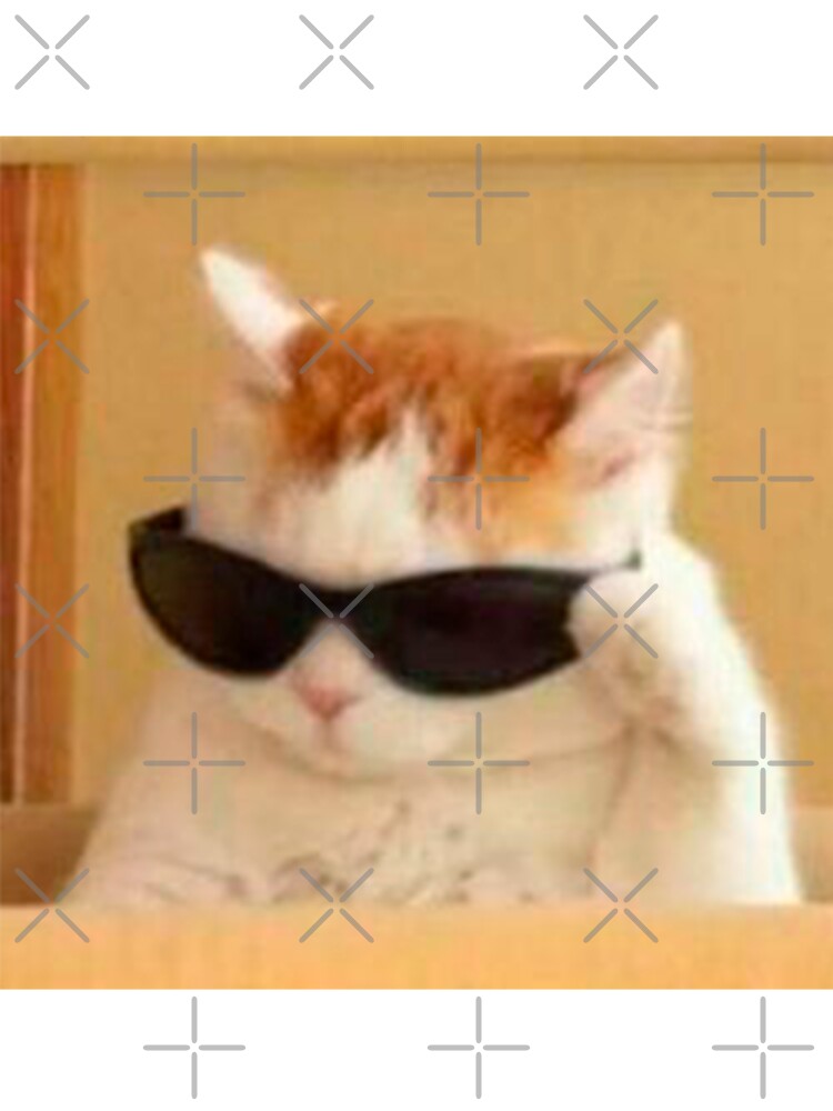 cat with glasses meme by valwerty