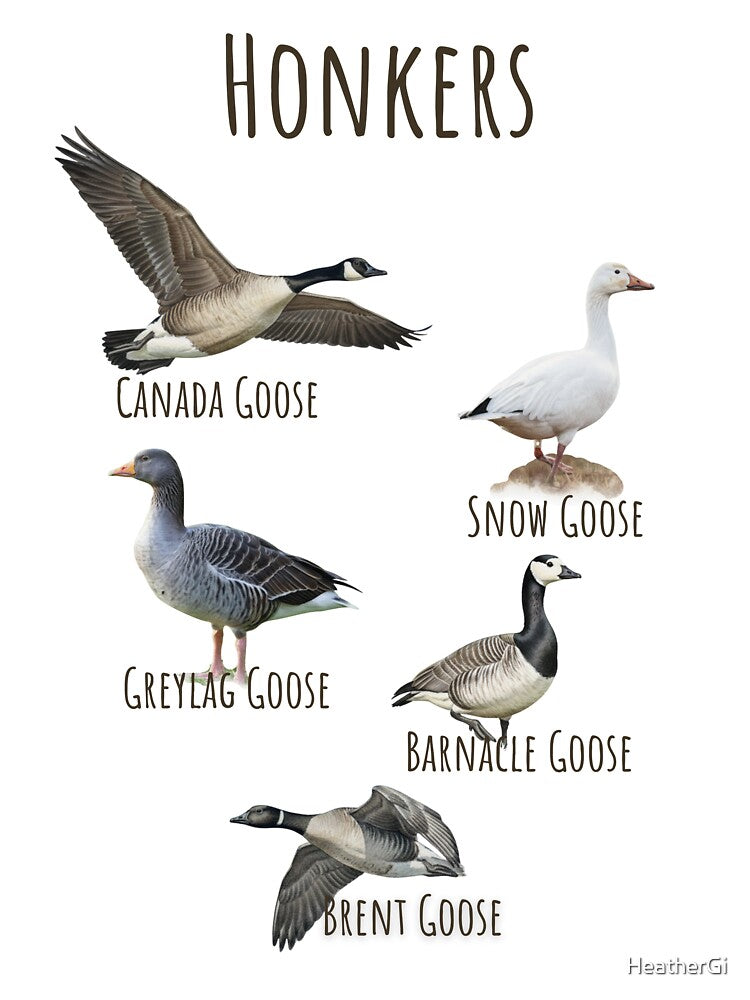 Honkers: Fowl Language by HeatherGi