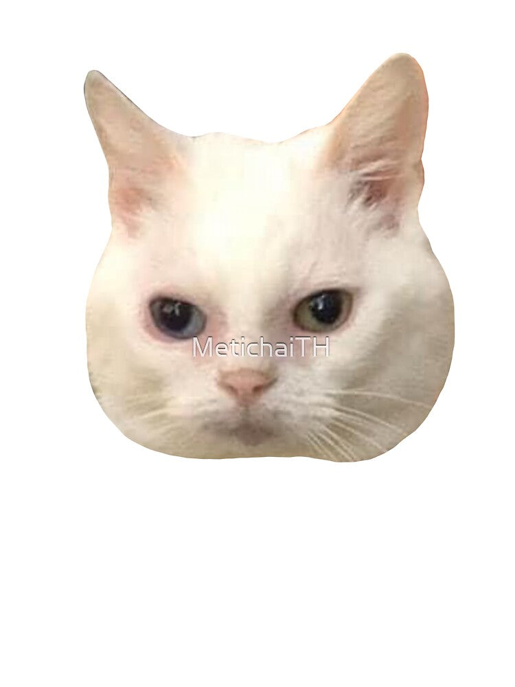 MEME Pointing Cat - Calling You Out Sticker (Collection7-14) by MetichaiTH