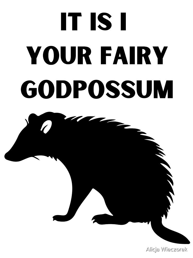 It Is I Your Fairy Godpossum by Alicja Wieczorek