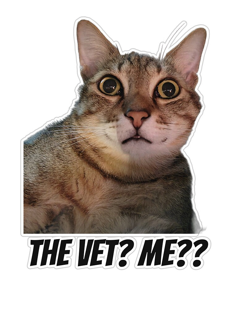 The Vet? Me?? Funny Shocked Cat Owner Humor by MoodyCoCo