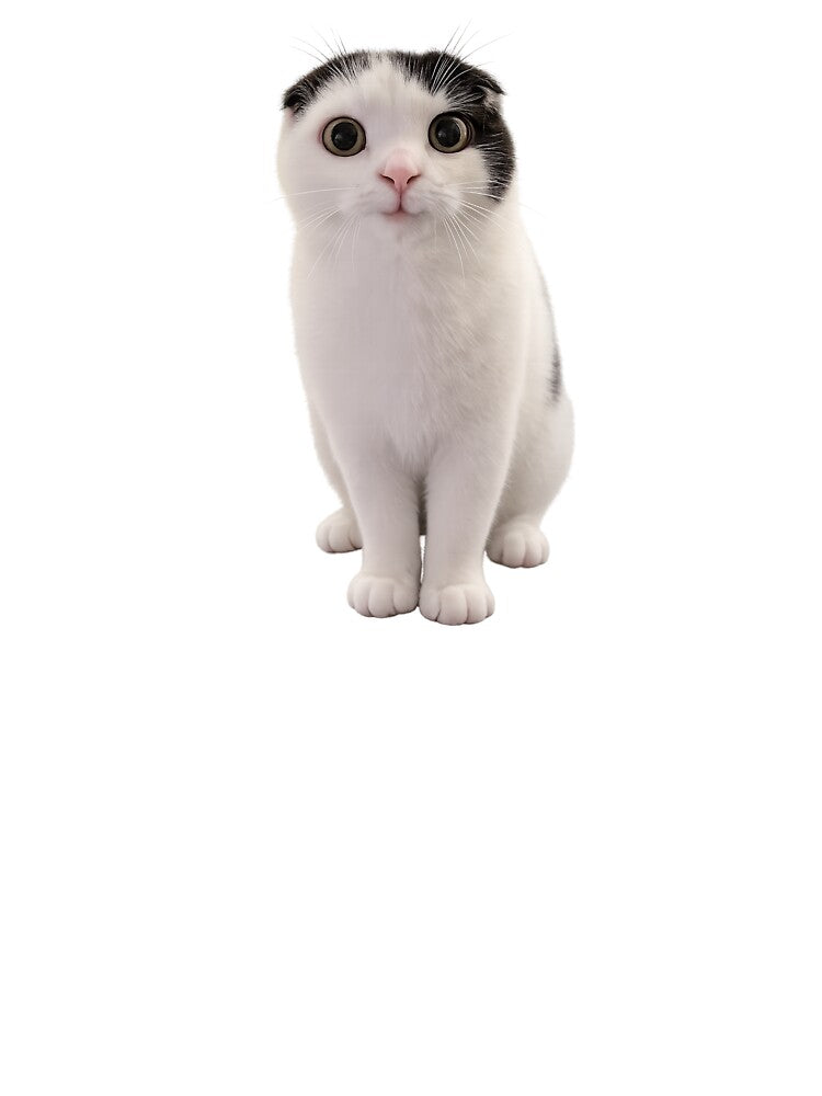 Cute funny cat by t-patterns