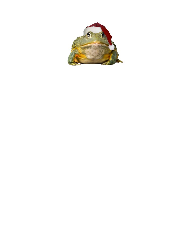 christmas frog - a festive bullfrog by katief44