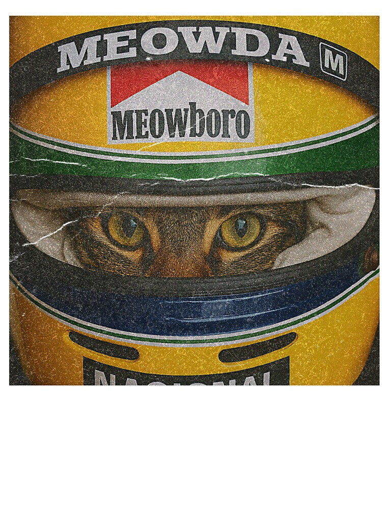 Funny Meme Cat Formula Racing by RebeccaLittlee