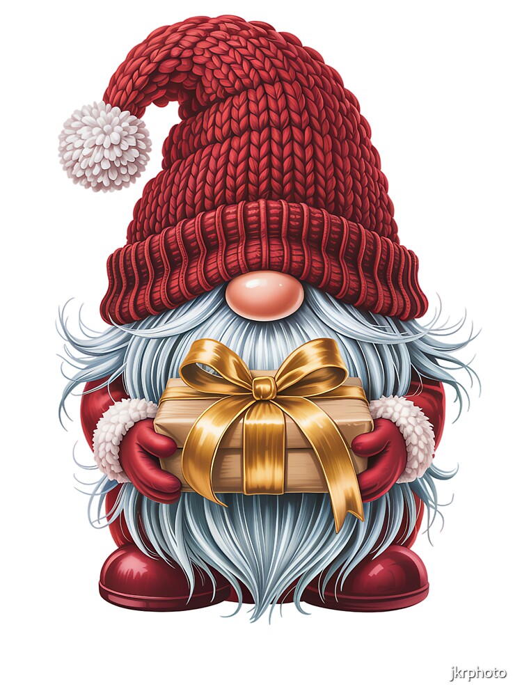 Gnome with a Festive Gift by jkrphoto