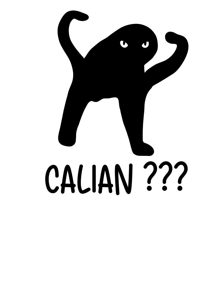 Funny Kitty Cat Meme Alien Or Calian by RebeccaLittlee
